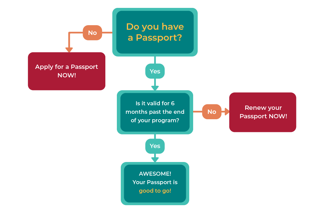 Passport Decision Tree