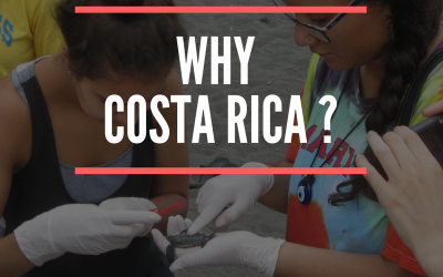 Why Costa Rica