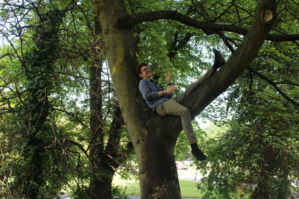 Intern Patrick Friend sits in a tree in Dublin