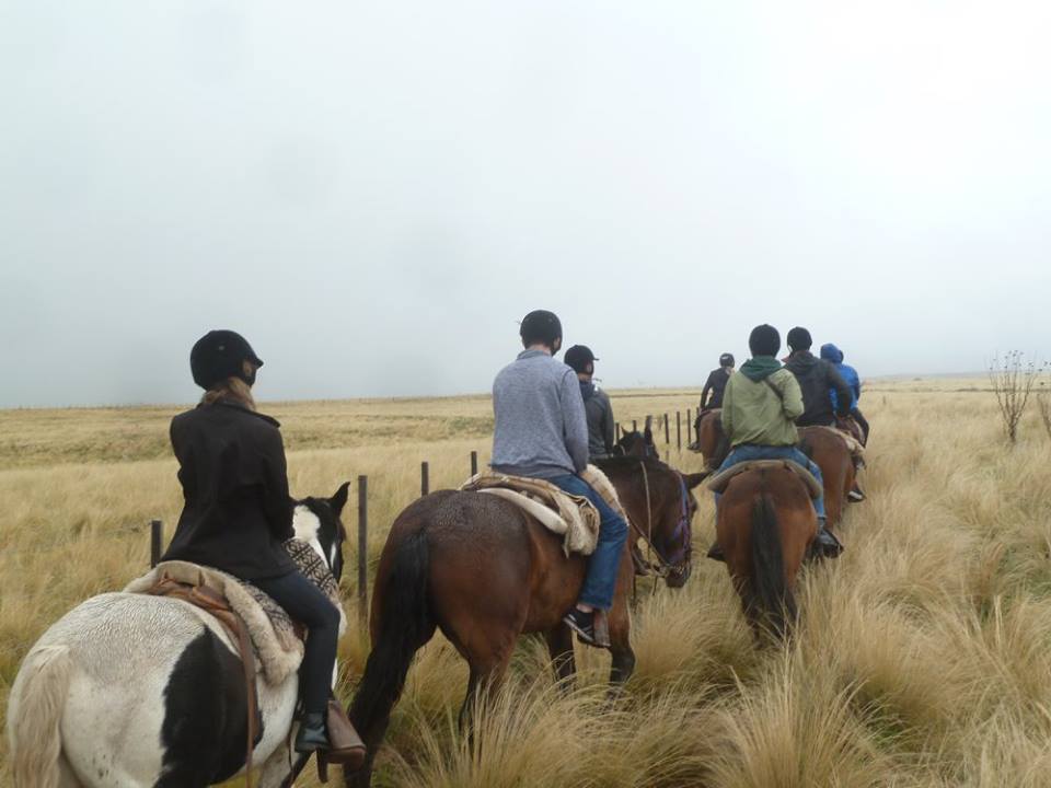 Spanish students riding horses in Mendoza, Argentina