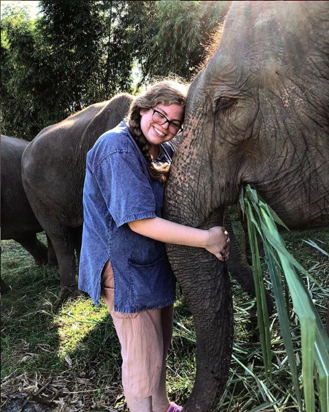 teach in thailand participant hugs elephant