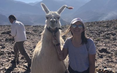 Myths vs Realities of Studying Abroad in South America – API Blog