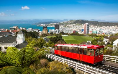 Win $1500 towards your flight to study at Massey University!