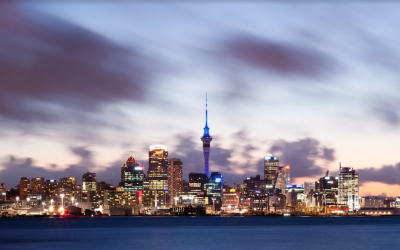 Study & intern in Auckland – API Program Spotlight