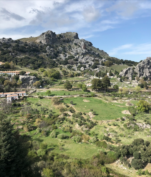 Grazelma, Spain hillside