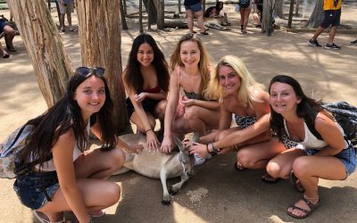 Study abroad in Gold Coast & Brisbane! – API Program Spotlight