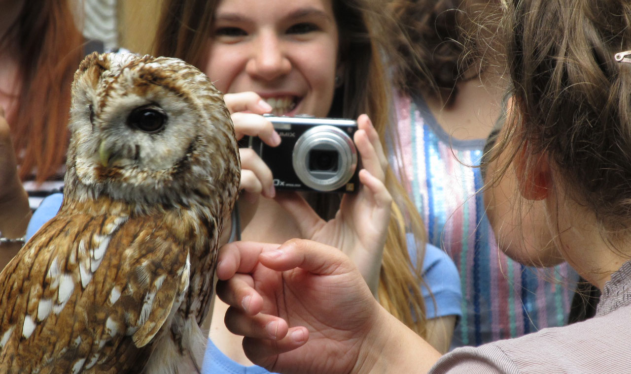 Czech Republic Student with Owl