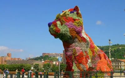 Study Abroad in Bilbao: Now Just a Direct Flight from NYC