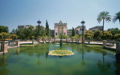 Building Confidence in Spain Through Immersion