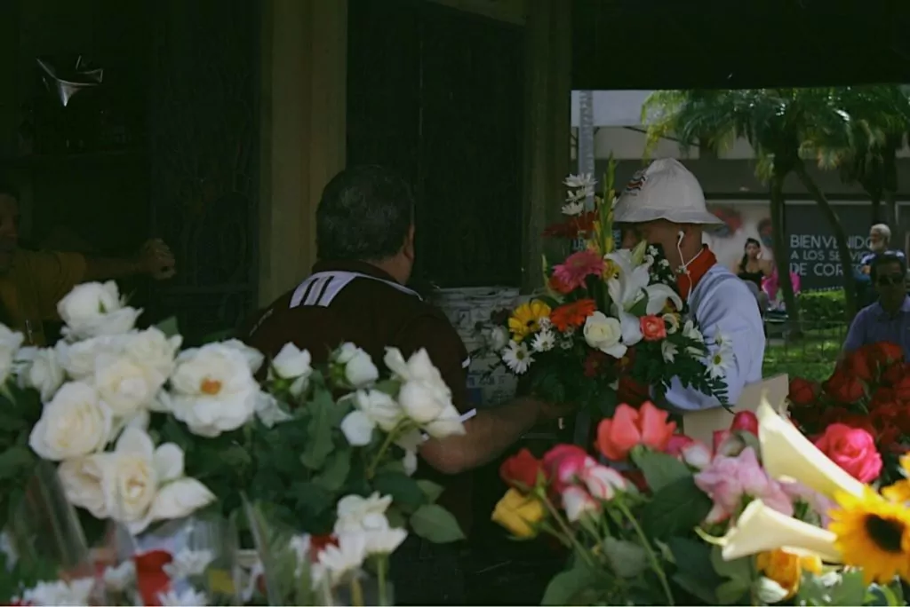 Flowers for sale at El Centro de San Jose