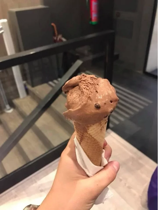 Ice cream in Salamanca Spain