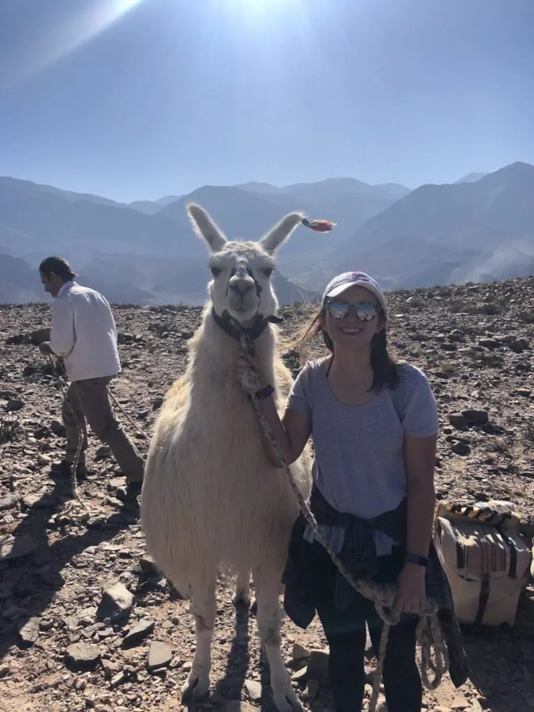 Study abroad student with llama in South America