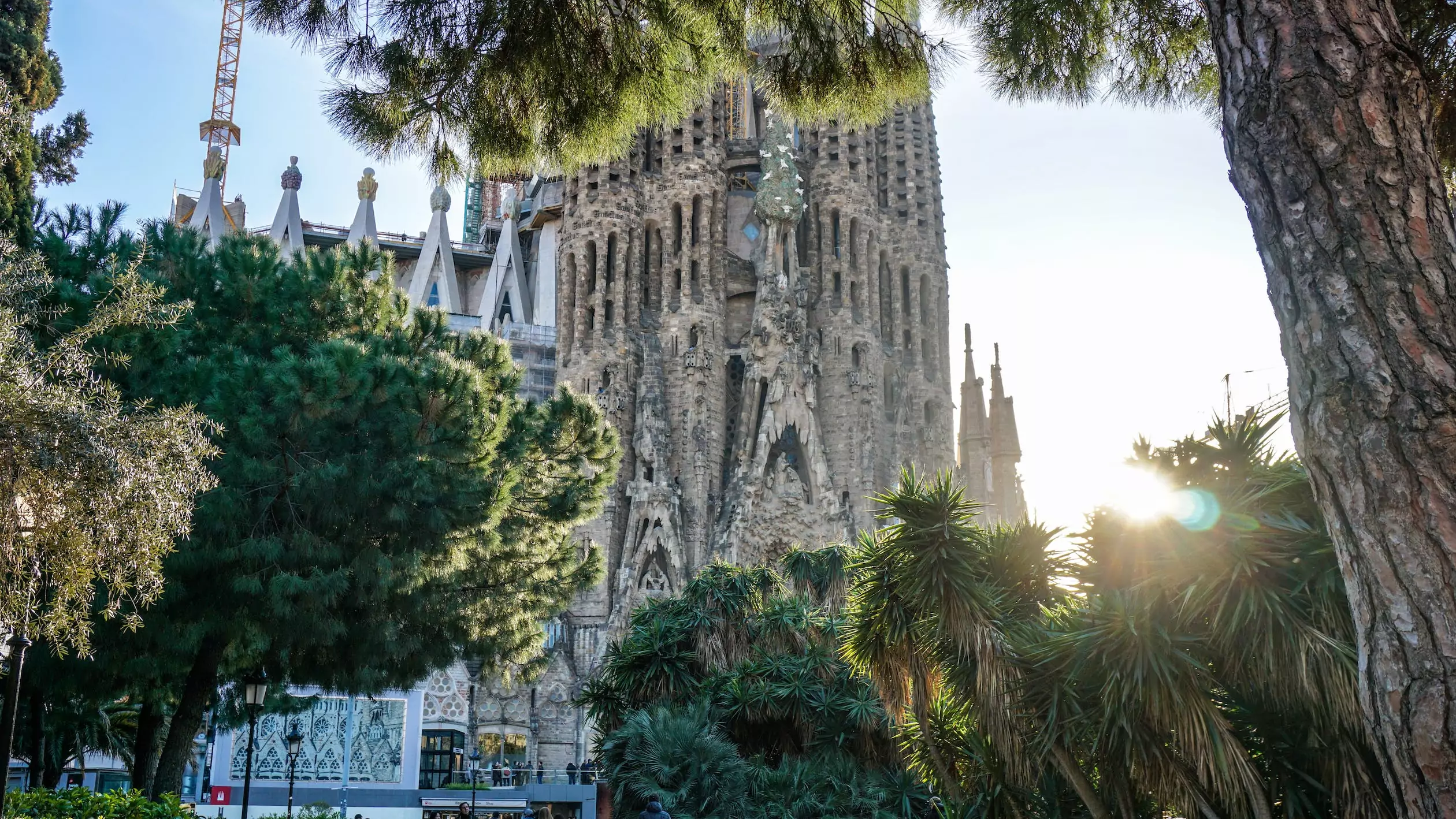 your questions answered: study abroad in barcelona